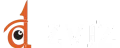 Dizviz - eLan Technology client